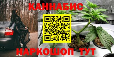 прущая мука Владимир