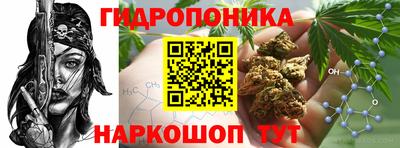 прущая мука Владимир