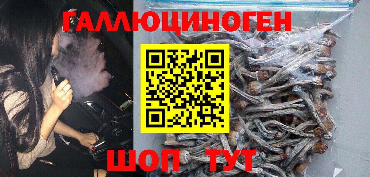 Усть-Кут  Галлюциногенные грибы GOLDEN TEACHER  Вход с VPN 